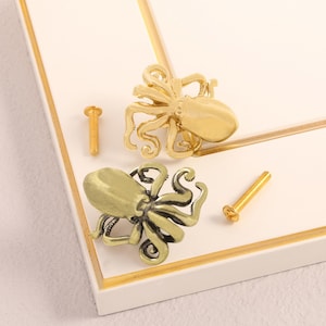 Könnte beinhalten: Zwei Oktopus-förmige Schrankknöpfe in Gold- und Antik-Messing-Finish, mit passenden Schrauben. Die Knöpfe sind mit Tentakeln und einem abgerundeten Kopf versehen, ideal für einen maritimen Touch.