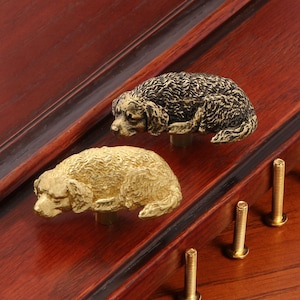 Könnte beinhalten: Zwei dekorative Schrankknöpfe in Form eines schlafenden Hundes. Einer ist goldfarben, der andere schwarz und gold. Sie sind auf einer dunklen Holzoberfläche mit goldenen Schrauben montiert. Die Knöpfe sind etwa 5 cm lang.