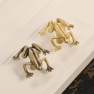 Bronzen boomkikker ladeknop/libel kastknop/woondecoratie/diervormige ladeknop/meubelhout/kastgreep, unieke knop