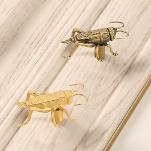 Op de afbeelding: Twee messingkleurige kastknoppen in de vorm van een krekel. De knoppen zijn gedetailleerd met insectkenmerken, waaronder poten, antennes en lichaamssegmenten. Ze zijn gemonteerd op een wit en lichtbruin houten oppervlak.
