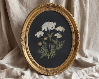 May include: Oval framed botanical art print featuring white flowers on a black background. The gold frame has ornate detailing. The print is signed "Lulu Vintage Art" in the bottom corner.