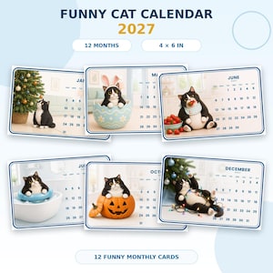 May include: A 2027 funny cat calendar featuring 12 monthly cards measuring 4 by 6 inches. Each card displays a black and white cat in various seasonal scenes, including a Christmas tree, an Easter egg, a pumpkin, and a bathtub, with monthly grids.