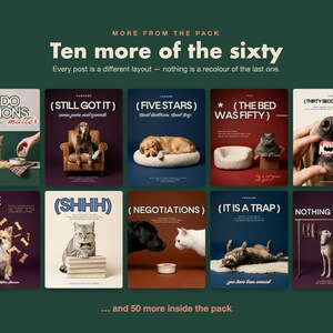 May include: A digital collection of ten social media post templates featuring various dogs and cats in different settings with humorous text overlays like Why Do Portions Matter, Still Got It, Five Stars, The Bed Was Fifty, and Nothing To Wear.