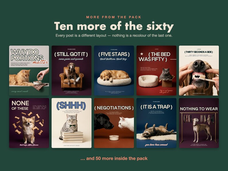 May include: A digital collection of ten social media post templates featuring various dogs and cats in different settings with humorous text overlays like Why Do Portions Matter, Still Got It, Five Stars, The Bed Was Fifty, and Nothing To Wear.