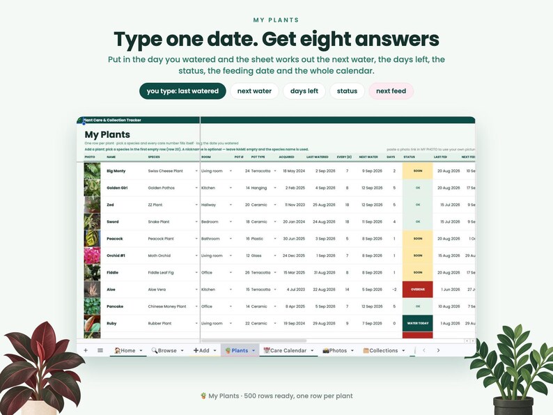 May include: A digital plant care and collection tracker spreadsheet featuring columns for plant names, species, room, pot type, acquisition date, last watered, watering frequency, next water, days remaining, status, and next feeding date.