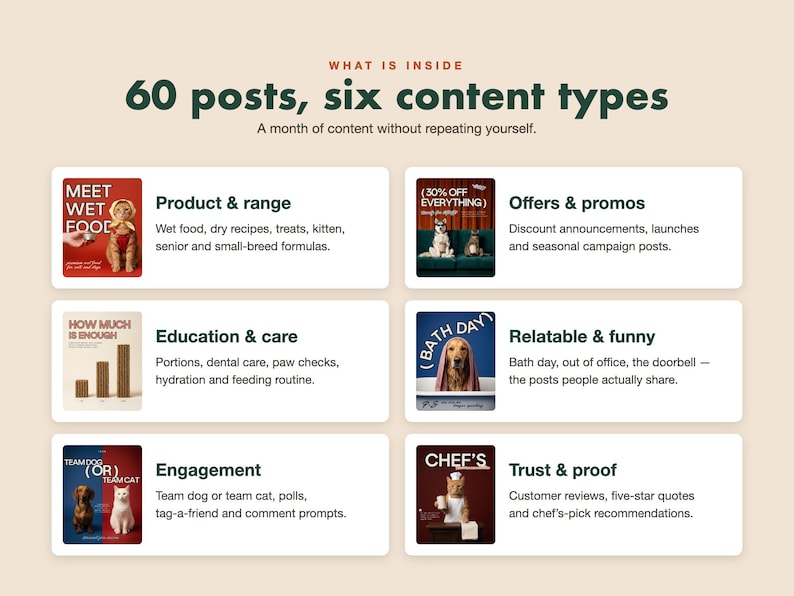 May include: An infographic titled WHAT IS INSIDE 60 posts, six content types. It lists six categories: Product & range, Offers & promos, Education & care, Relatable & funny, Engagement, and Trust & proof, each with a small image and descriptive text.