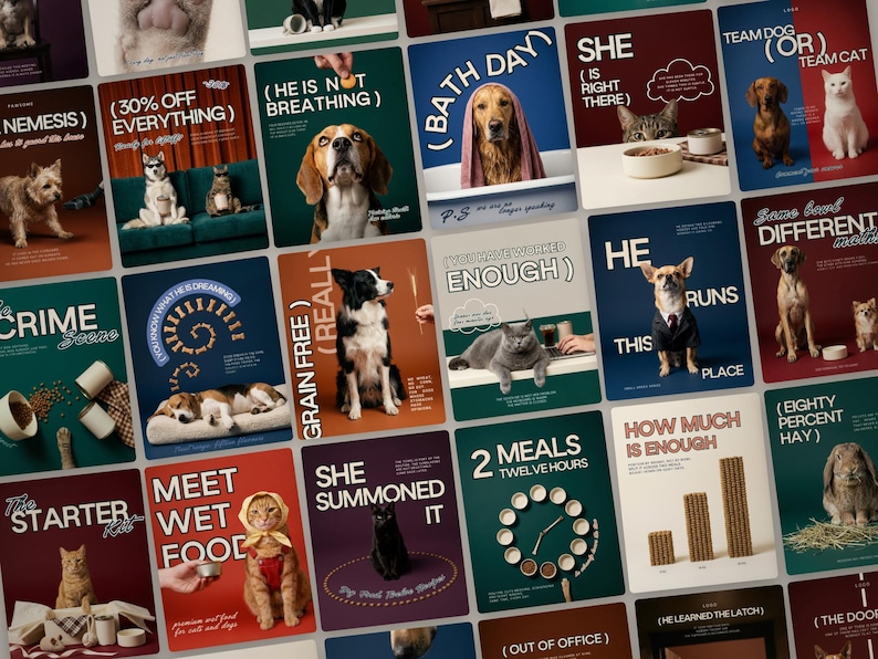 May include: A collection of twenty-four graphic posters featuring various dogs, cats, and a rabbit, each paired with humorous text captions such as Bath Day, Crime Scene, and Grain Free, presented in a grid layout with diverse color backgrounds.