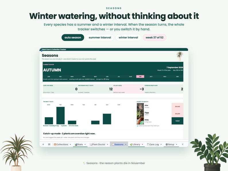 May include: A digital plant care and collection tracker interface titled Seasons. The dashboard displays current autumn status, a weekly watering schedule with bar charts, and a list of plants including Aloe, Ziggy, and Ruby. Text includes Winter watering, without thinking about it and Auto season.