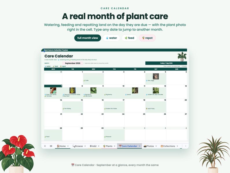 May include: A digital plant care calendar interface titled Care Calendar, displaying a monthly grid for September 2024. The layout includes task icons for water, feed, and repot, with small plant photos and text labels within specific calendar cells.