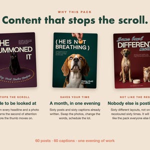 May include: A digital marketing content pack featuring three square graphic templates. The first shows a black cat with the text 'SHE SUMMONED IT'. The second shows a beagle with the text '(HE IS NOT BREATHING)'. The third shows two dogs with the text 'Same bowl DIFFERENT maths'.