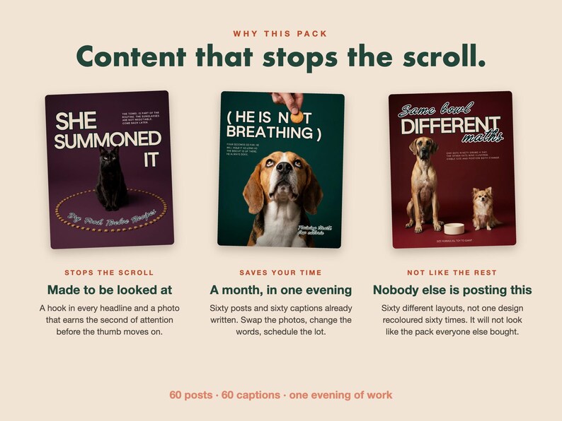 May include: A digital marketing content pack featuring three square graphic templates. The first shows a black cat with the text 'SHE SUMMONED IT'. The second shows a beagle with the text '(HE IS NOT BREATHING)'. The third shows two dogs with the text 'Same bowl DIFFERENT maths'.