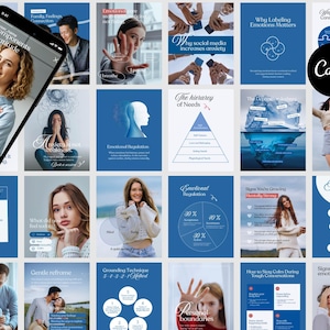 May include: A collection of blue and white graphics with text related to emotional well-being and mental health. The graphics include diagrams, photos, and text such as "Components of Gratitude" and "Emotional Regulation."