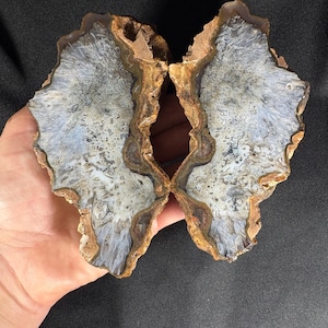 Può includere: Due metà di una pietra d'agata lucidata, che mostra un motivo blu e bianco con bordi marroni e beige. La pietra è tenuta su uno sfondo nero, mettendo in risalto la sua bellezza naturale e le venature uniche.