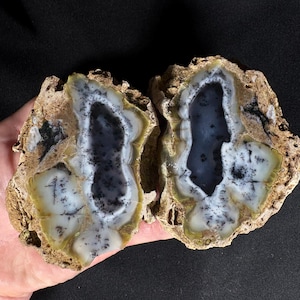 May include: Two halves of a polished agate geode. The interior has a dark blue centre with white and black dendritic patterns. The outer edge is a light tan colour with a rough, natural texture. The geode is displayed against a black background.