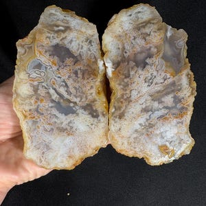 May include: Two halves of a polished agate stone, showcasing intricate patterns in white, gray, and orange hues. The stone's edges are a warm, golden-brown color, creating a natural, earthy aesthetic. The agate is displayed against a dark background.