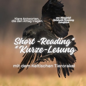 Op de afbeelding: Een zwarte raaf in vlucht met wijd gespreide vleugels. De afbeelding bevat witte tekst: Klare Antworten, die den Alltag tragen, von AlvaSpirit Spirituelle Beratung Schriftlich, Short-Reading, Kurze-Lesung, mit dem Keltischen Tierorakel.