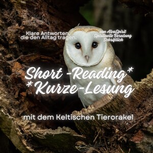 Könnte beinhalten: Eine Schleiereule mit weißem und beigem Gefieder sitzt in einer dunklen Baumhöhle. Das Bild enthält den Text: Klare Antworten, die den Alltag tragen, von AlvaSpirit Spirituelle Beratung Schriftlich, Short-Reading, Kurze-Lesung, mit dem Keltischen Tierorakel.