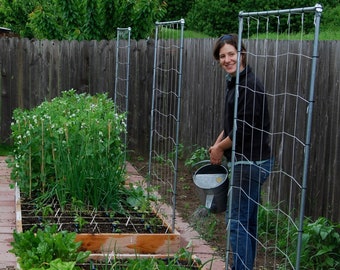 Digital Plan for a Steel Trellis