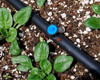 Digital Drip Irrigation Plan for Raised Beds