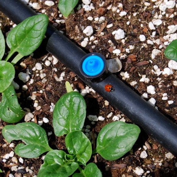 Digital Drip Irrigation Plan for Raised Beds