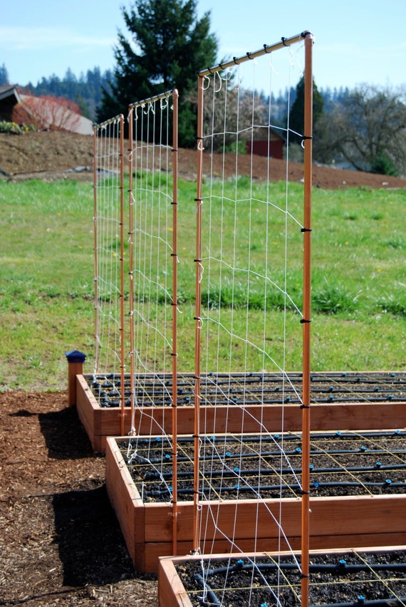 Copper Trellis for Under $25 : 6 Steps - Instructables