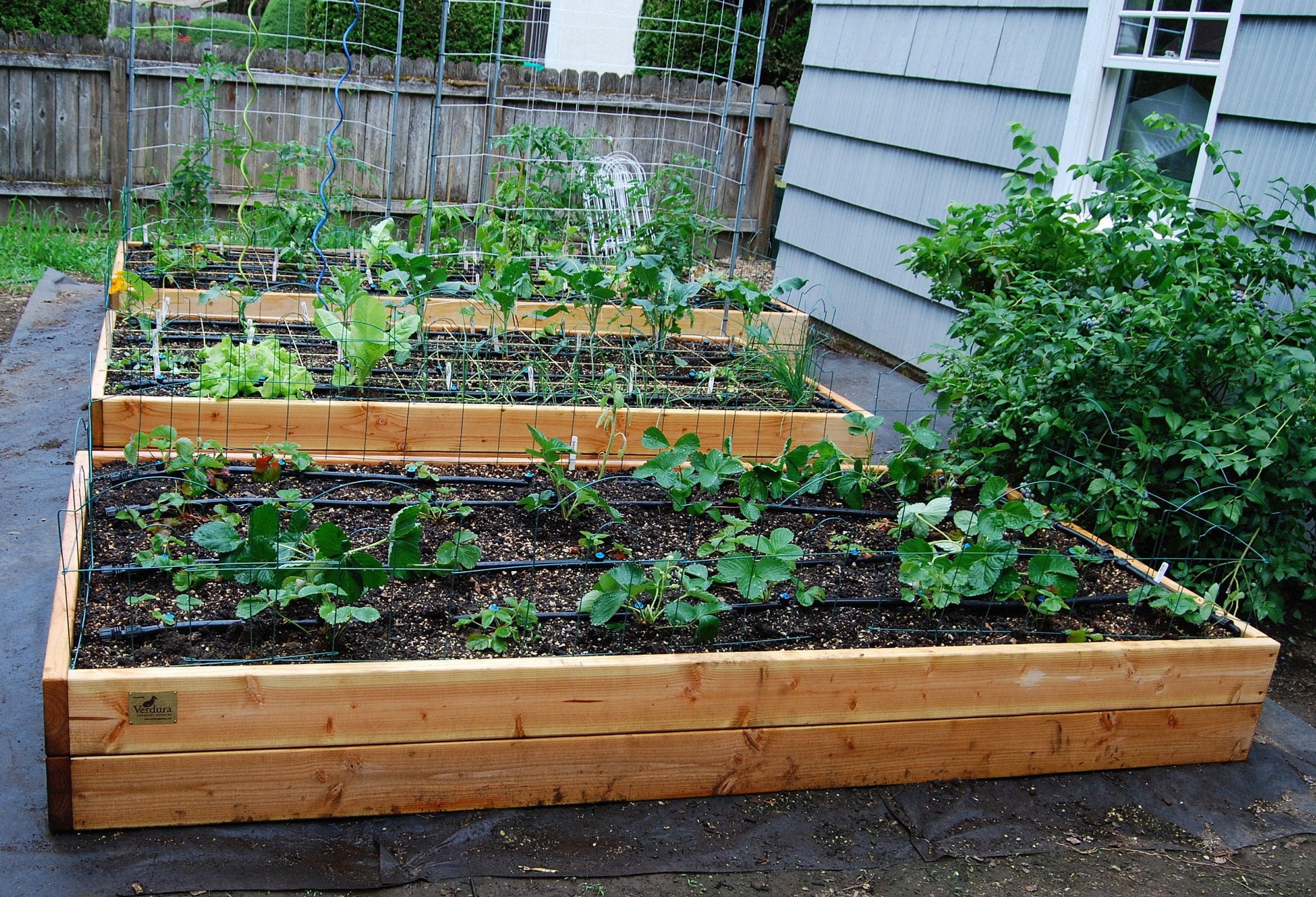 How to Fill a DEEP Raised Bed CHEAP and EASY, Backyard Gardening