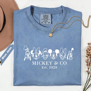 May include: A light blue t-shirt featuring a white graphic of Mickey Mouse and friends, with the text "Mickey & Co Est. 1928". A gold star pendant necklace and a brown hat are also visible.