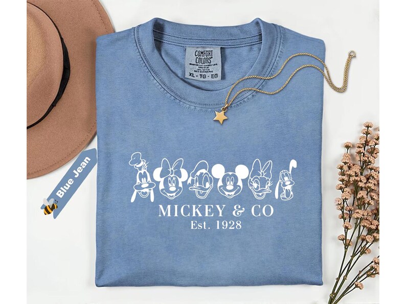 May include: A light blue t-shirt featuring a white graphic of Mickey Mouse and friends, with the text "Mickey & Co Est. 1928". A gold star pendant necklace and a brown hat are also visible.