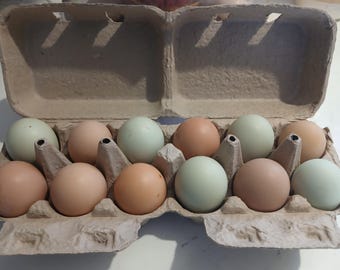 Farm Fresh Barnyard Mix eggs, fertile