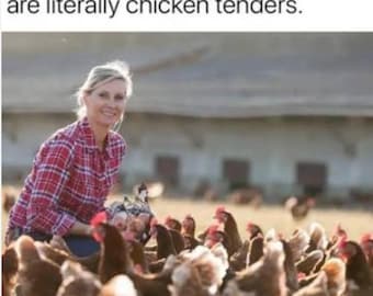 Chicken humor magnet