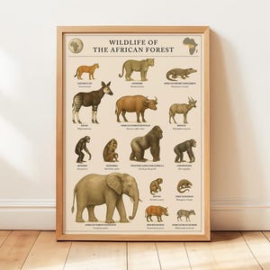 May include: A framed print titled "Wildlife of the African Forest" featuring illustrations of various African animals, including a leopard, elephant, and gorilla. The print has a light beige background and a wooden frame.