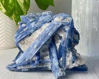 Grupo de cristales de cianita // Ejemplar de exhibición de piedra en bruto de cuarzo azul natural de alta calidad, mineral espiritual coleccionable para decoración