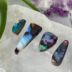 May include: Four polished opal stones in various shapes and colors, including blue, green, brown, and white. The opals are displayed on a clear, crystalline surface, with a green plant and a purple crystal formation in the background.