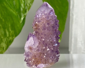 Grupo de cristales de cuarzo espíritu púrpura // Punta de cuarzo cactus de alta calidad, piedra natural de amatista drusa brillante en bruto, roca mineral de Sudáfrica