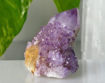 Grupo de cristales de cuarzo espíritu púrpura // Punta de cuarzo cactus de alta calidad, piedra natural de amatista drusa brillante en bruto, roca mineral de Sudáfrica