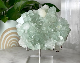 Green Apophyllite Crystal Cluster // AAA Quality Sugar Druzy Display Specimen Raw Natural Mineral Rock Meditation Stone Healing