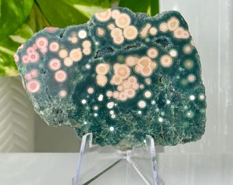 Losa de jaspe oceánico drusa // Rara pieza antigua de stock, cristal pulido, forma irregular, verde, naranja, rosa, orbicular, ojo de buey, mineral coleccionable