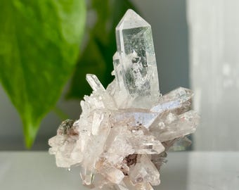 Grupo de cristales de cuarzo rosa colombiano // Espécimen de roca mineral en bruto, transparente y de gran calidad, ideal para coleccionistas.