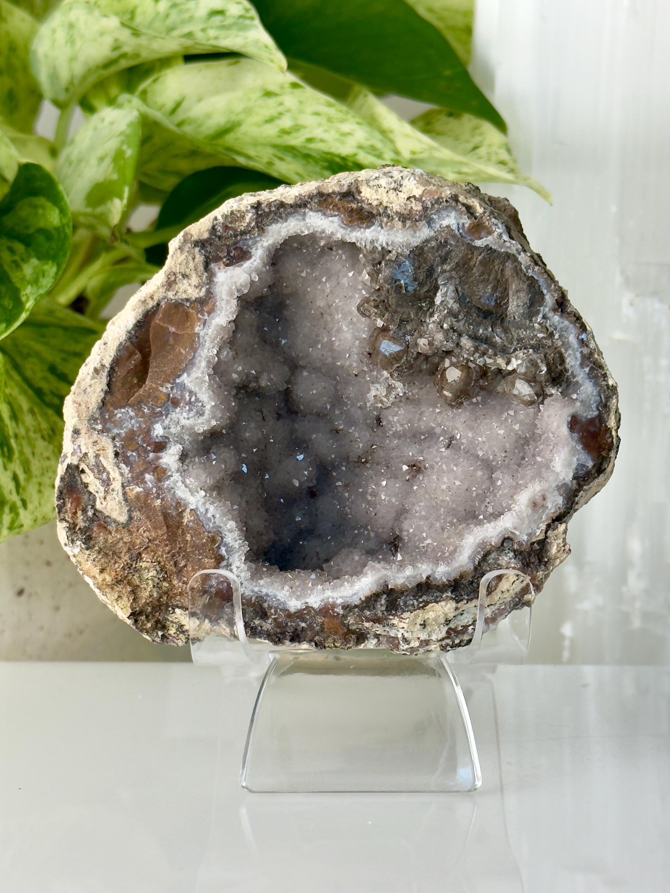 Patagonia Agates - Etsy