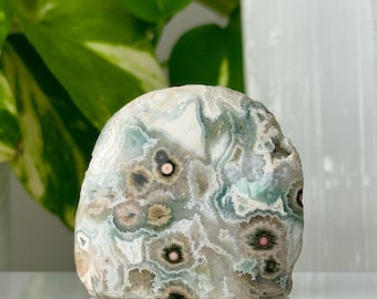 Jaspe oceánico de forma libre // Losa de cristal semipulida, rodaja, roca mineral natural verde azulada y blanca, ojo orbicular, piedra de Madagascar, coleccionable