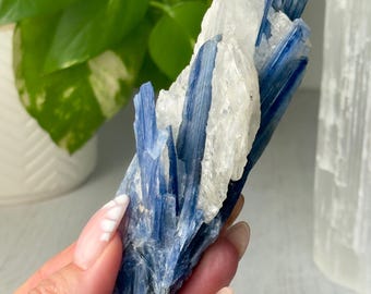 Grupo de cristales de cianita // Ejemplar de exhibición de piedra en bruto de cuarzo azul natural de alta calidad, mineral espiritual coleccionable para decoración