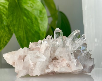 Grupo de cristales de cuarzo rosa colombiano // Punta de piedra en bruto, muestra de roca mineral coleccionable