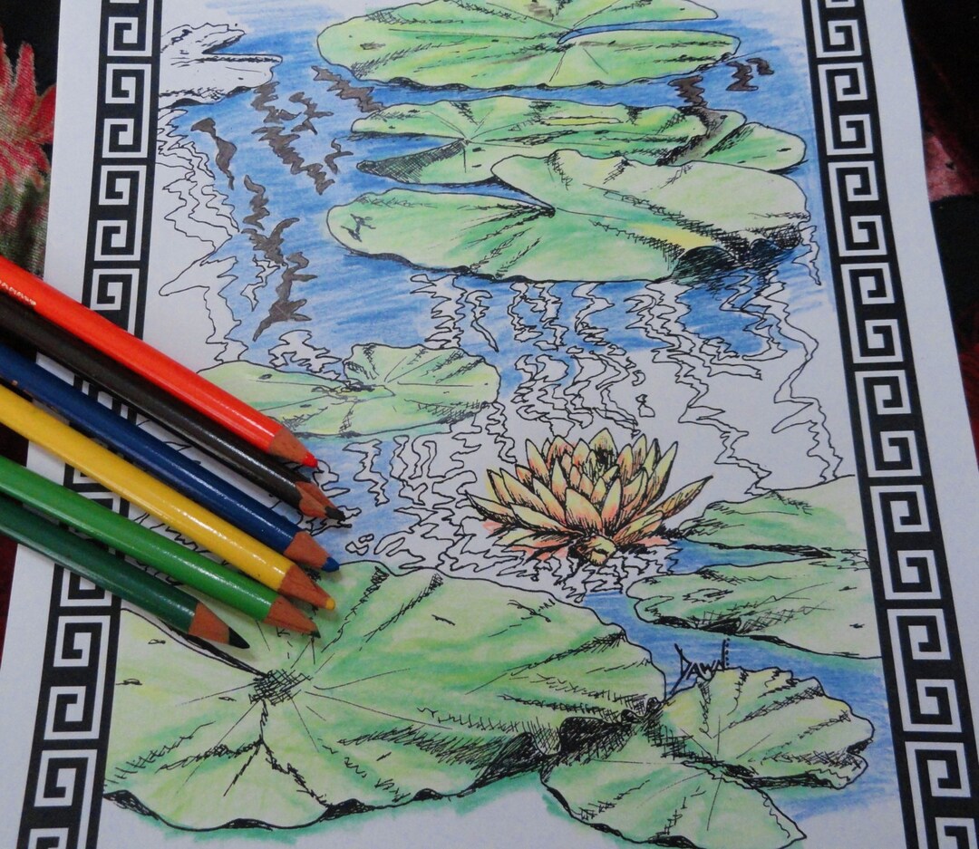 Garden Coloring Book Adult Coloring Book: my - Etsy