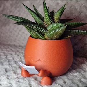 Op de afbeelding: Een kleine, oranje, ronde bloempot met een gezichtsontwerp, die een klein, grijs boek vasthoudt. De pot bevat een groene vetplant met puntige bladeren. De pot staat op een zacht, grijs oppervlak.