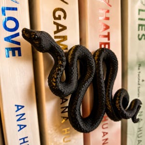 Op de afbeelding: Een zwart, getextureerd slangenbeeldje met een kronkelend lichaam en gedetailleerde schubben. De slang is horizontaal geplaatst over de ruggen van verschillende boeken, met de kop naar links en de staart gekruld naar de rechterkant.