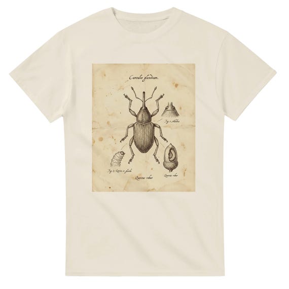 Acorn Weevil Shirt, Entomology Vintage Illustration, Snoots and Boots Tee, Dark Academia Insect Shirt, Poetcore Aesthetic, Ivory Artist Tee
