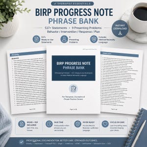 517+ BIRP Progress Note Phrase Bank | Organized by 9 Presenting Problems | Behavior, Intervention, Response, Plan | PDF Word