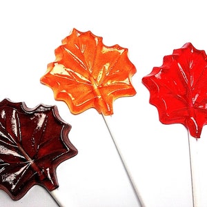 12 MAPLE LEAF LOLLIPOPS Fall Party Favors zdjęcie 1