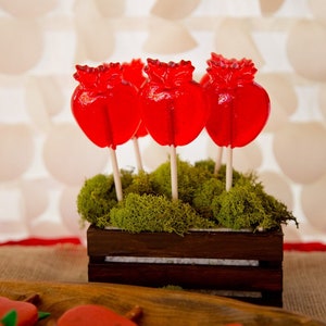10 LARGE APPLE LOLLIPOPS - Apple Party Favors, Snow White Themed Party