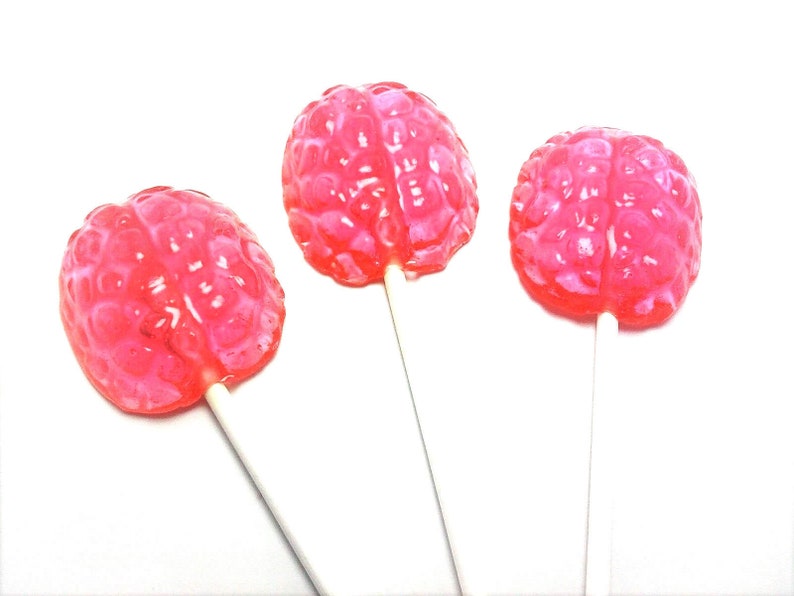 12 TRANSPARENT BRAIN LOLLIPOPS Hard Candy Lollipops, Mad Scientist Party, Halloween Party Favors image 1